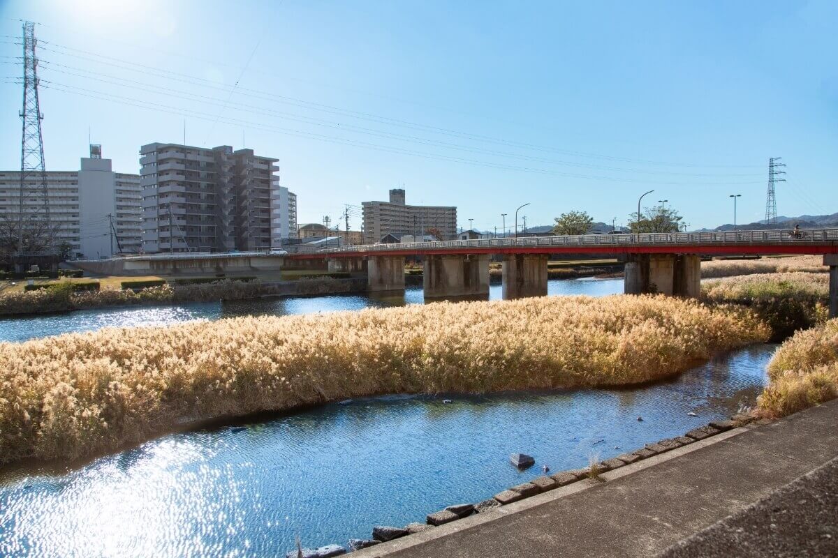 高知という土地の良さ