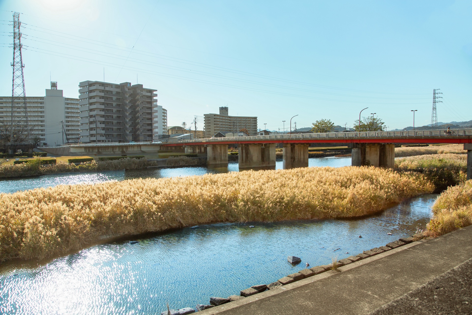 鏡川エリア